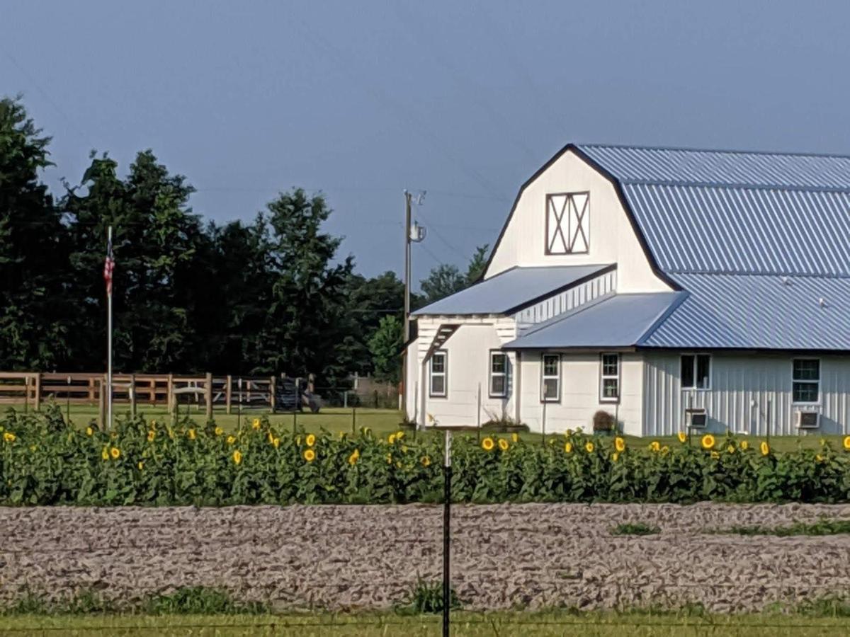 Bunkhouse Farm Stay Fort White Exteriör bild